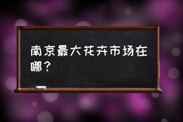 南京哪里有盆景批发 南京最大花卉市场在哪？