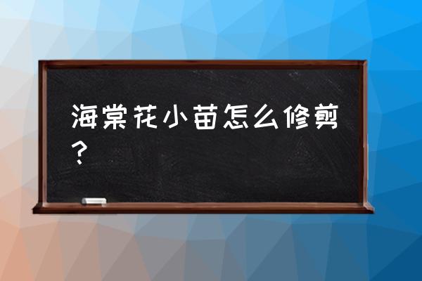 三年海棠树苗如何修剪 海棠花小苗怎么修剪？