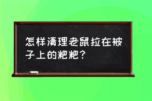 床下有老鼠人身上痒怎么办 怎样清理老鼠拉在被子上的粑粑？