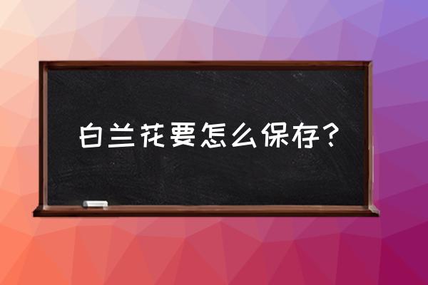 如何保存白玉兰花不变黑 白兰花要怎么保存？