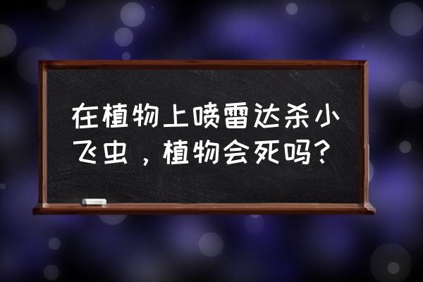 雷达杀虫剂伤害植物吗 在植物上喷雷达杀小飞虫，植物会死吗？