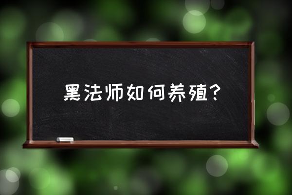 多肉植物黑法师怎么分株 黑法师如何养殖？