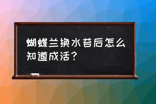 兰花如何看它是否成活 蝴蝶兰换水苔后怎么知道成活？