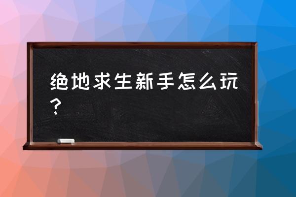 绝地求生选什么发型好 绝地求生新手怎么玩？