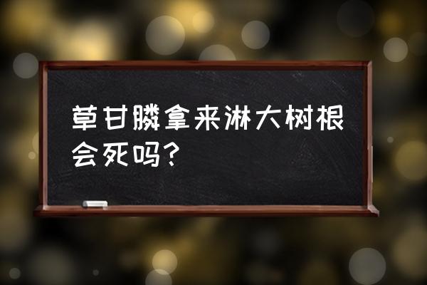 草甘膦给树地能不能打 草甘膦拿来淋大树根会死吗？