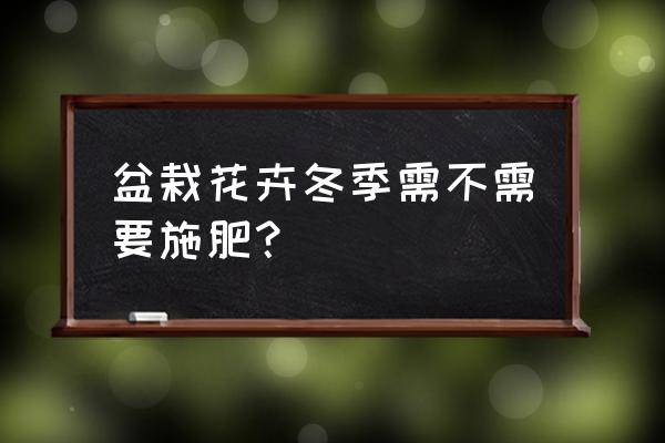 冬天花盆能上复合肥吗 盆栽花卉冬季需不需要施肥？