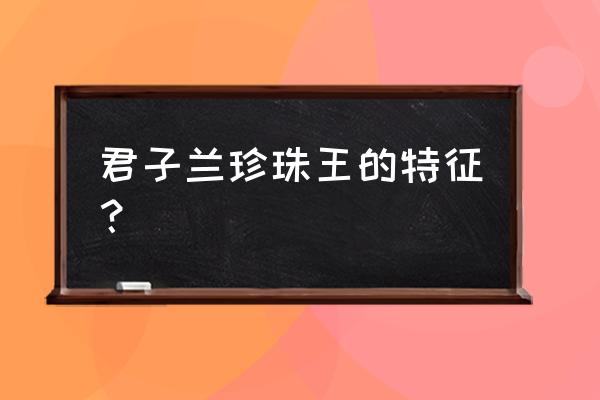 君子兰珍珠王是什么 君子兰珍珠王的特征？