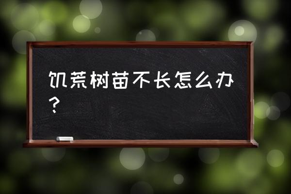 饥荒浆果树怎么不张 饥荒树苗不长怎么办？