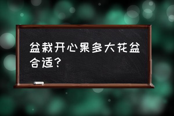 开心果树可以在室内种吗 盆栽开心果多大花盆合适？