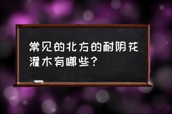 北京耐阴灌木有哪些 常见的北方的耐阴花灌木有哪些？