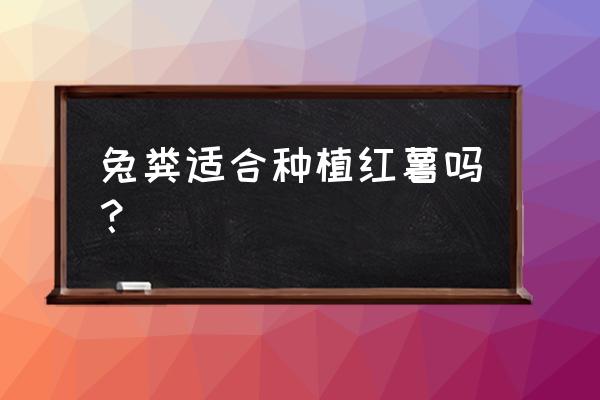 哪种有机肥种红薯最好 兔粪适合种植红薯吗？