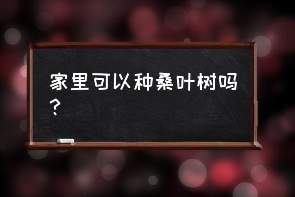 桑树的盆景能放客厅吗 家里可以种桑叶树吗？