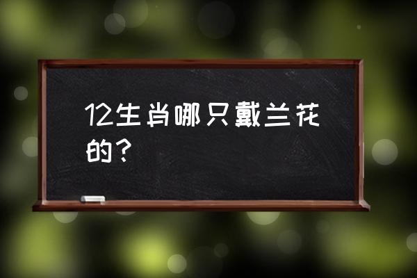 蕙兰花代表什么动物 12生肖哪只戴兰花的？