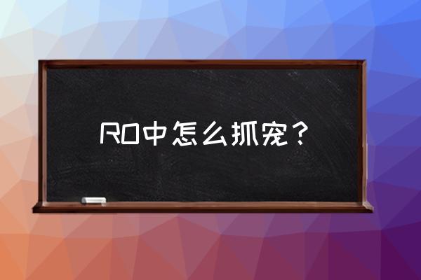 仙境传说宠物怎么提升好感度 RO中怎么抓宠？