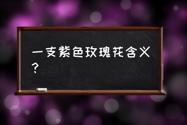 浅紫色的玫瑰花代表什么 一支紫色玫瑰花含义？