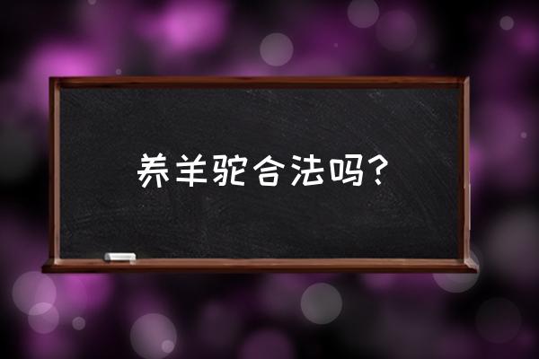 深圳家里可以养羊驼吗 养羊驼合法吗？