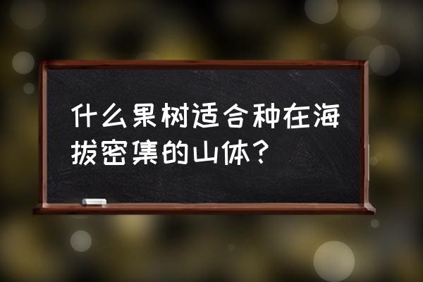 山区什么果树容易生长 什么果树适合种在海拔密集的山体？