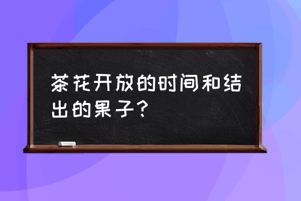 山茶花是开在几月份 茶花开放的时间和结出的果子？