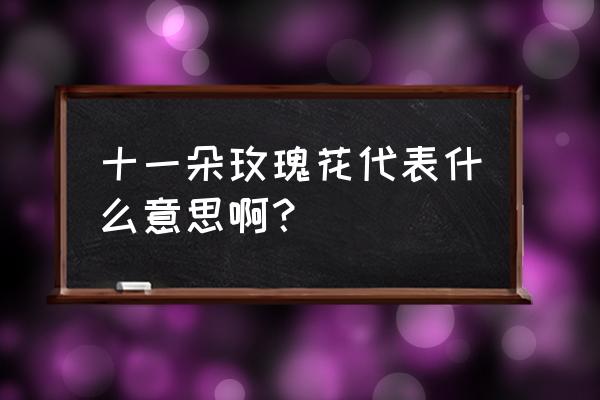 11朵玫瑰代表什么意思 十一朵玫瑰花代表什么意思啊？