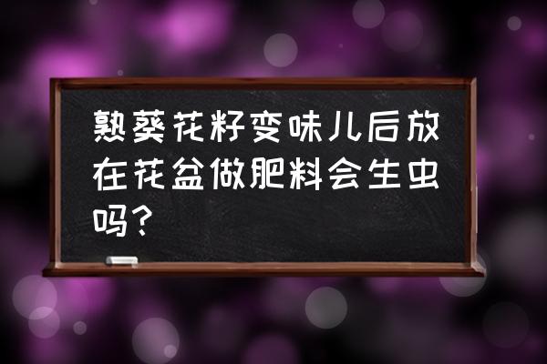 葵花籽不能吃了能埋在花盆里吗 熟葵花籽变味儿后放在花盆做肥料会生虫吗？