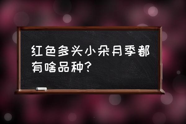 红色龙沙宝石是多头的吗 红色多头小朵月季都有啥品种？