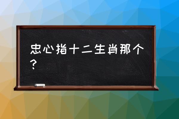 养牛为仆一忠诚指什么生肖 忠心指十二生肖那个？