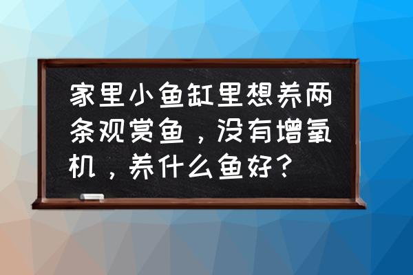 没有增氧机能养什么鱼 家里小鱼缸里想养两条观赏鱼，没有增氧机，养什么鱼好？