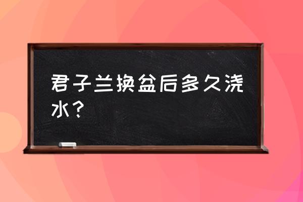 换盆的君子兰怎么浇水 君子兰换盆后多久浇水？