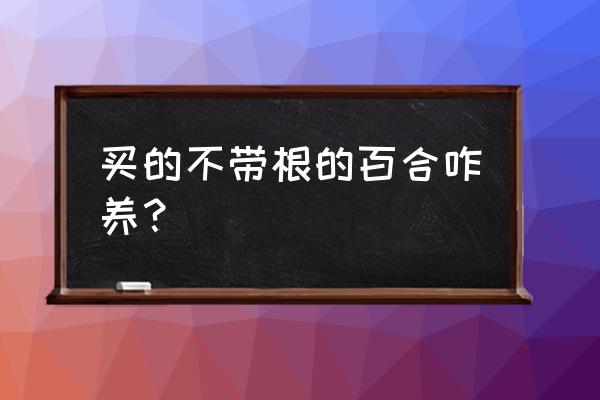 多菌灵怎么泡百合 买的不带根的百合咋养？