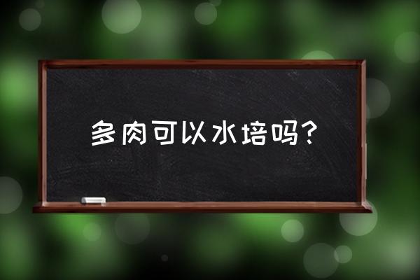 多肉植物怎么水养 多肉可以水培吗？