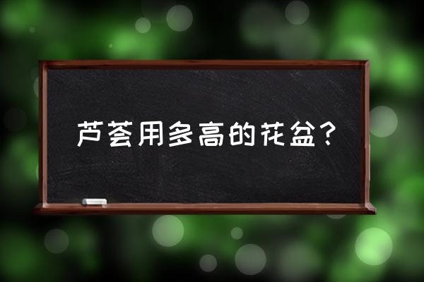 芦荟用什么盆栽最合适 芦荟用多高的花盆？