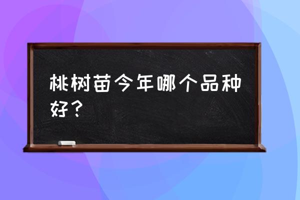 安徽优质桃树苗哪家好 桃树苗今年哪个品种好？