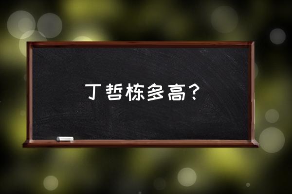 虎牙贤宝宝玩什么主机游戏 丁哲栋多高？