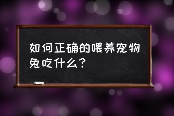 宠物兔喜欢什么饲料 如何正确的喂养宠物兔吃什么？