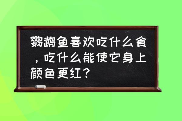 鹦鹉鱼为什么饲料增红 鹦鹉鱼喜欢吃什么食，吃什么能使它身上颜色更红？