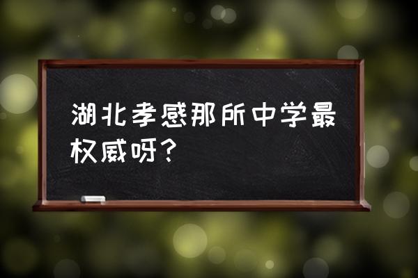 孝感挂口村在哪里上中学 湖北孝感那所中学最权威呀？