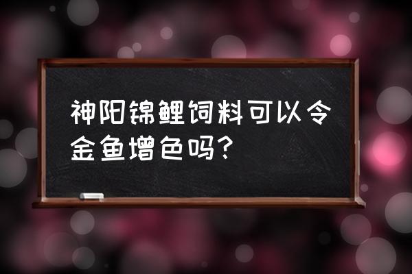 神阳锦鲤鱼增色饲料好吗 神阳锦鲤饲料可以令金鱼增色吗？