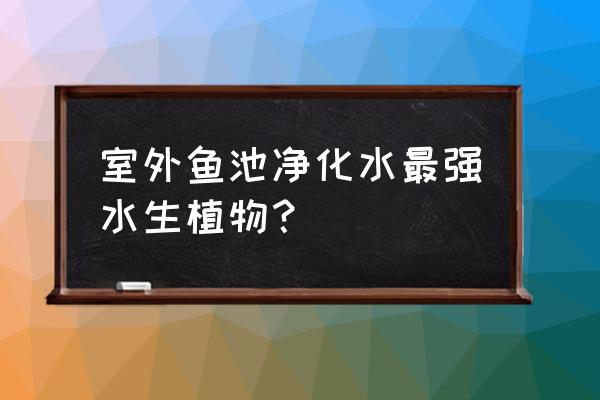 庭院养什么水生植物好 室外鱼池净化水最强水生植物？