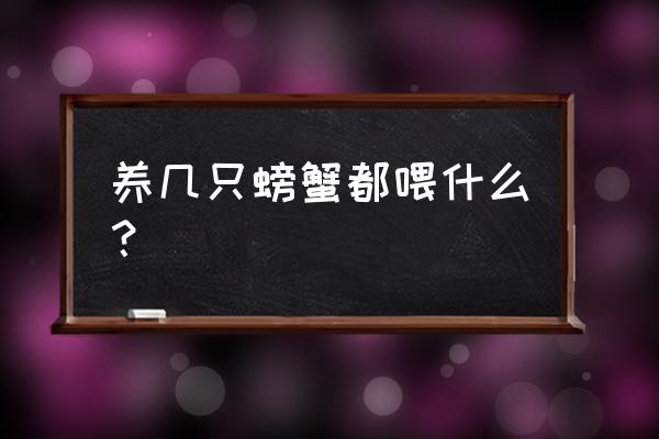 螃蟹养殖用什么饲料 养几只螃蟹都喂什么？