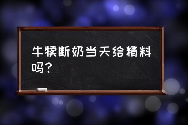 牛断奶吃什么饲料 牛犊断奶当天给精料吗？