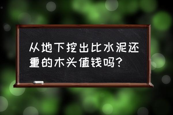 怎么样鉴定木材是否值钱 从地下挖出比水泥还重的木头值钱吗？