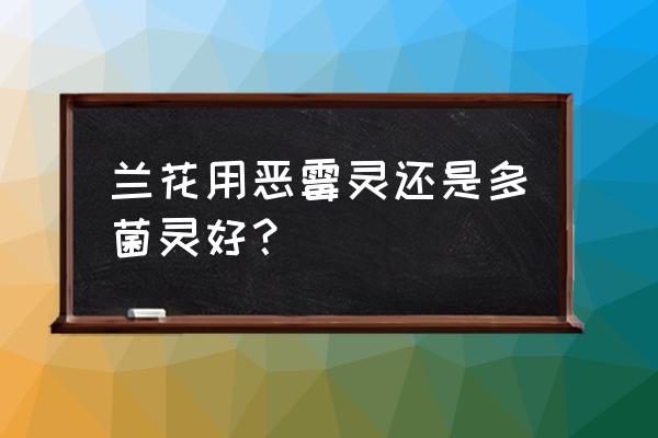 恶霉灵是保护性杀菌剂吗 兰花用恶霉灵还是多菌灵好？