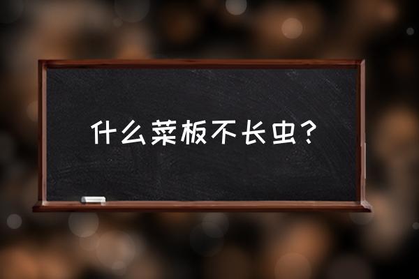 怎么防止木头菜板生虫子 什么菜板不长虫？