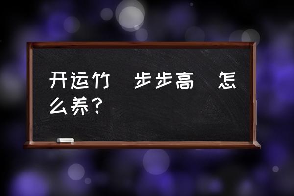 绿色植物步步高怎么养 开运竹(步步高)怎么养？