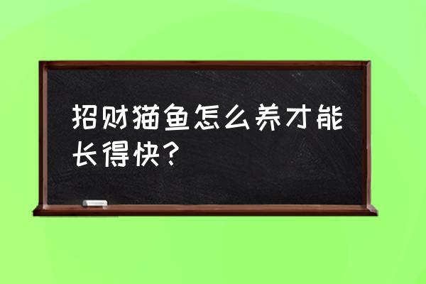 招财猫吃什么饲料 招财猫鱼怎么养才能长得快？