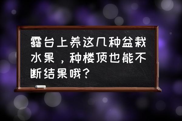 挂果的盆栽有哪些 露台上养这几种盆栽水果，种楼顶也能不断结果哦？