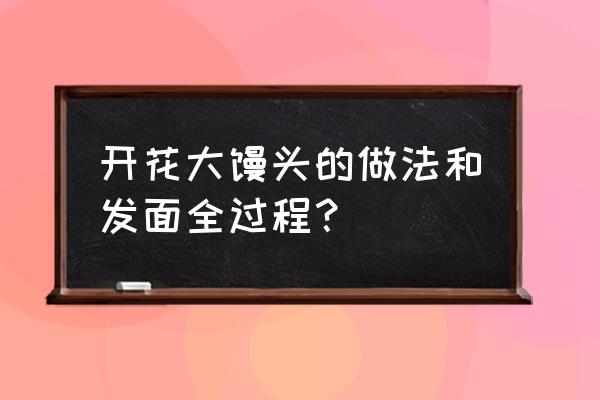 如何蒸出开花的馒头 开花大馒头的做法和发面全过程？