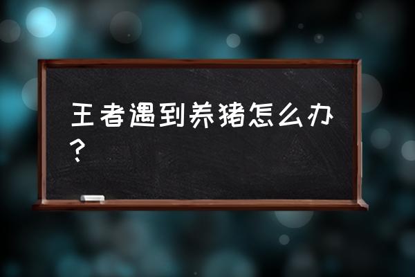 王者模拟战什么克制养猪 王者遇到养猪怎么办？