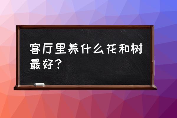 家居客厅摆什么花卉 客厅里养什么花和树最好？