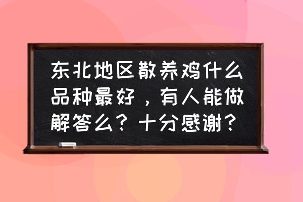 黑龙江省散养鸡哪个品种好 东北地区散养鸡什么品种最好，有人能做解答么？十分感谢？